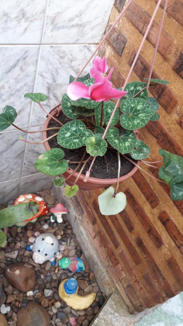 Pousada Parada Da Serra Petrópolis Zewnętrze zdjęcie